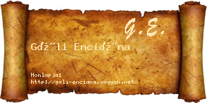 Gáli Enciána névjegykártya